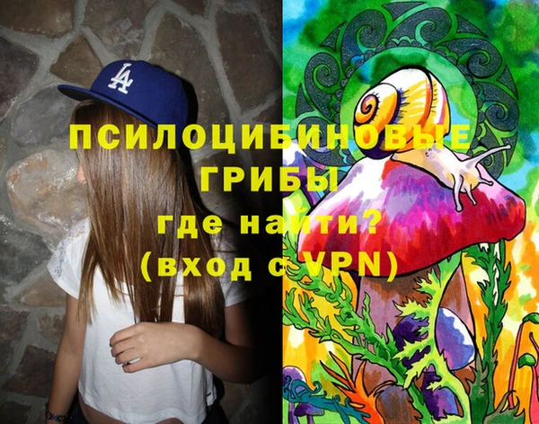 первитин Алексин