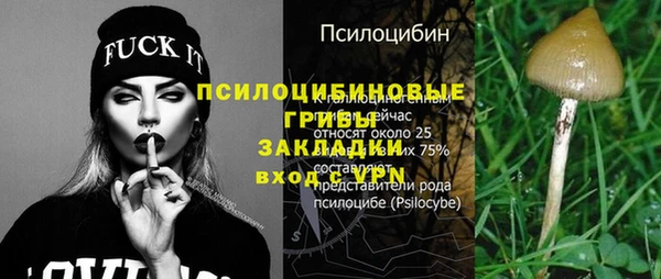 дурь Алзамай