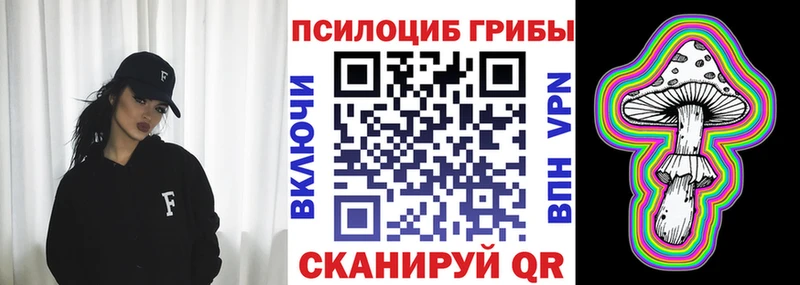 как найти наркотики  гидра ТОР  Псилоцибиновые грибы ЛСД  Сураж 